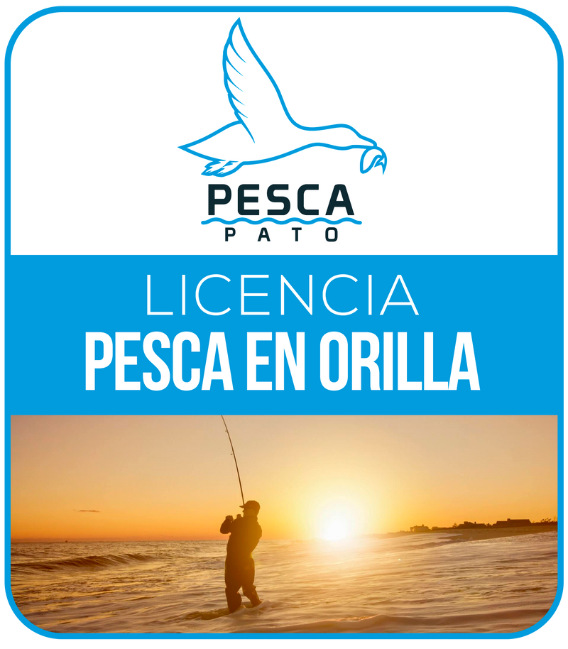 Cargue la imagen en el visor de la galería, Licencia de Pesca Marítima
